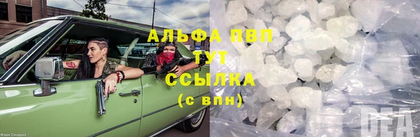 спайс Арсеньев
