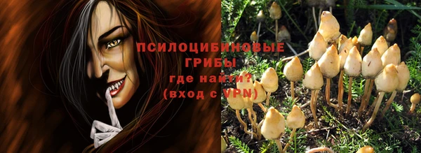 apvp Аркадак