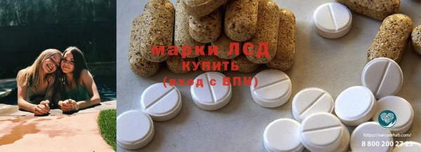 apvp Аркадак