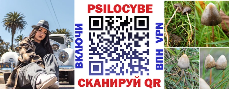 Псилоцибиновые грибы Cubensis  Купить  Новосокольники 